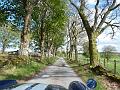 Dag 5, Fort William-Stirling (197)